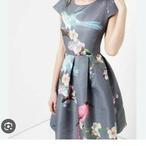 Ted Baker Bird Print Event Dress- 4 (Fits like 8) NWOT